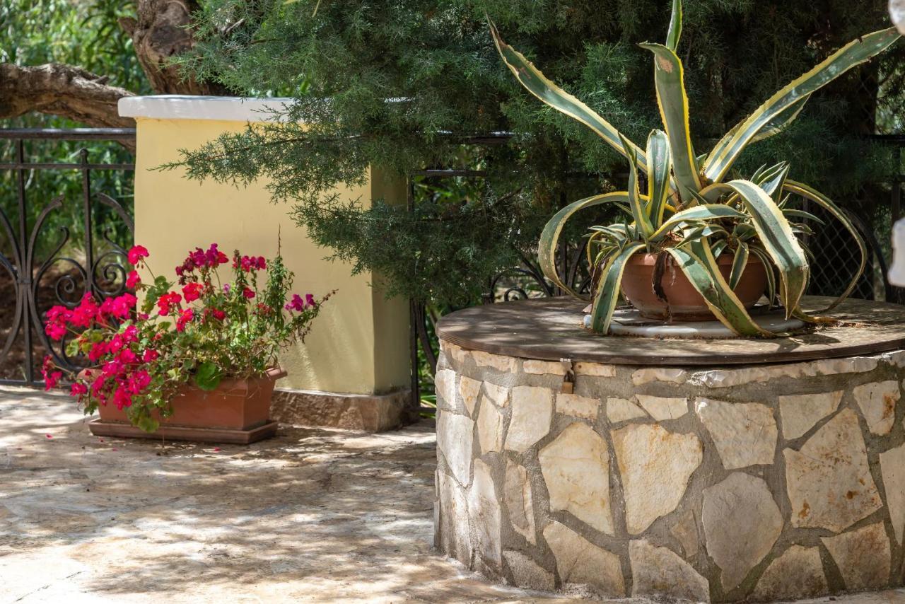 Olivegrove Villa - Nestled In Olive Trees With Private Pool, By Zantewize Трагаки Экстерьер фото