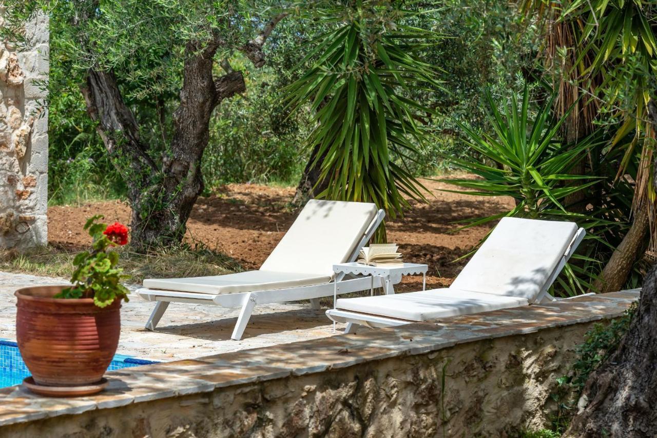 Olivegrove Villa - Nestled In Olive Trees With Private Pool, By Zantewize Трагаки Экстерьер фото
